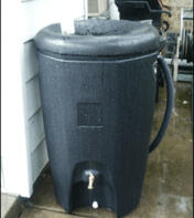 Rain Barrels Disconnect your downspouts and add a rain barrel.