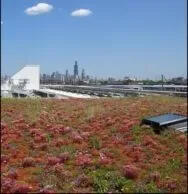 Green Roofs